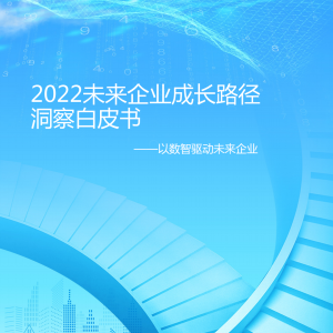 2022未来企业成长路径洞察白皮书